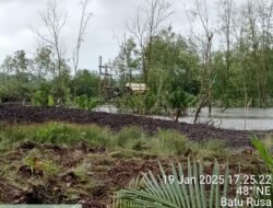 Seolah Kebal Terhadap Hukum Tambang PIP Jenis Rajuk Tower Menggasak Aliran Sungai (DAS) Di Desa Air Anyir