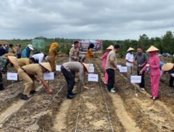 Kapolres Bangka Barat Hadiri Penanaman Jagung Serentak 1 Juta Hektare