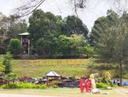 Liburan Seru di Pantai Tikus Emas: Pasir Putih Nan Eksotis & Wahana Menarik!