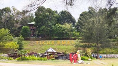 Liburan Seru di Pantai Tikus Emas: Pasir Putih Nan Eksotis & Wahana Menarik!