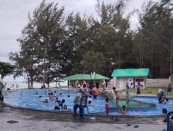 Sensasi Berbeda di Pantai Tikus Emas: Kolam Renang Unik Berbentuk Tikus!
