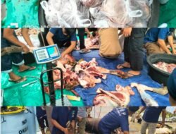 Momentum Idul Adha, Lapas Sungailiat Gelar Penyembelihan Hewan Qurban Penuh Kebersamaan