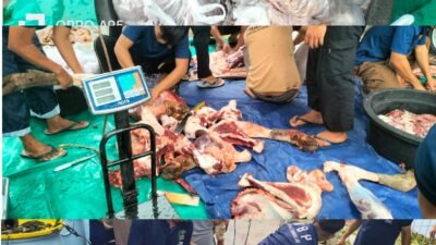 Momentum Idul Adha, Lapas Sungailiat Gelar Penyembelihan Hewan Qurban Penuh Kebersamaan