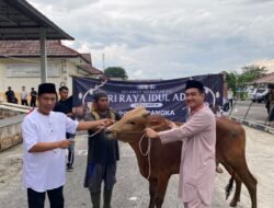 Polres Bangka Sembelih 4 Sapi dan 4 Kambing di Idul Adha 1447 H