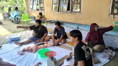 SMSI Babel Sembelih Sapi Kurban Bantuan PT Timah, Daging Dibagikan ke Seluruh Anggota
