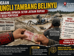 Tambang Graha Penyusuk Disorot, Penambang Mengaku Dipalak dan Dipaksa Jual Timah ke Pihak Tertentu