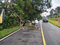 Hujan Picu Pohon Tumbang di Desa Petaling, Polsek Mendo Barat Langsung Turun Tangan