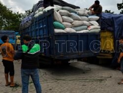Geger! 14,95 Ton Timah Diduga Ilegal Disamarkan Rongsokan Gagal Dikirim ke Jakarta