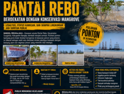 Mangrove Pantai Rebo Terancam Rusak, Puluhan Ponton Tambang Diduga Picu Kerusakan Ekosistem Pesisir