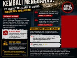 Tambang Timah Diduga Ilegal di Jalan Laut Kembali Mengganas, PC Disebut Milik Apin Kembang Beroperasi Malam Hari