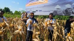 Lapas Pangkalpinang Panen 441 Kg Jagung Pipil, Kakanwil Ditjenpas Kep. Babel Apresiasi