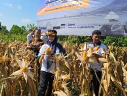 Lapas Pangkalpinang Panen 441 Kg Jagung Pipil, Kakanwil Ditjenpas Kep. Babel Apresiasi
