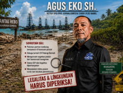 Mangrove Pantai Rebo Terancam Rusak, Puluhan Ponton Tambang Diduga Picu Kerusakan Ekosistem Pesisir