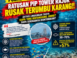 PULAU LAMPU: Ratusan PIP Tower Rajuk Rusak Terumbu Karang!! Aktivis Lingkungan Tanya Siapa Bertanggung Jawab? Siapa Sebenarnya Diuntungkan?