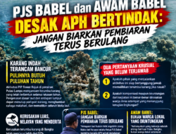 PULAU LAMPU: Ratusan PIP Tower Rajuk Rusak Terumbu Karang, PJS BABEL dan AWAM BABEL Desak APH Bertindak: Jangan Biarkan Pembiaran Terus Berulang