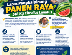 Lapas Pangkalpinang Panen Raya 518 Kg Citrullus Lanatus