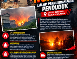 Si jago Merah Ngamuk Lalap Permukiman Padat Penduduk Dusun Serdang Bangka Selatan