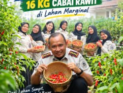 Lapas Pangkalpinang Panen Perdana 16 Kg Cabai Rawit di Lahan Marginal